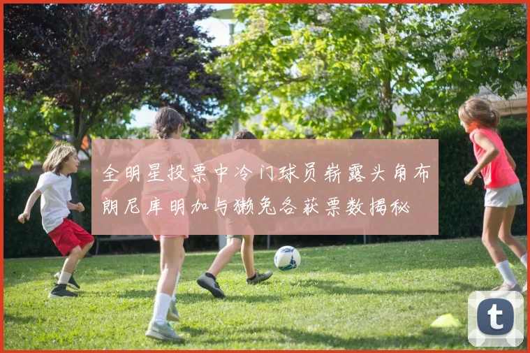 全明星投票中冷门球员崭露头角布朗尼库明加与獭兔各获票数揭秘