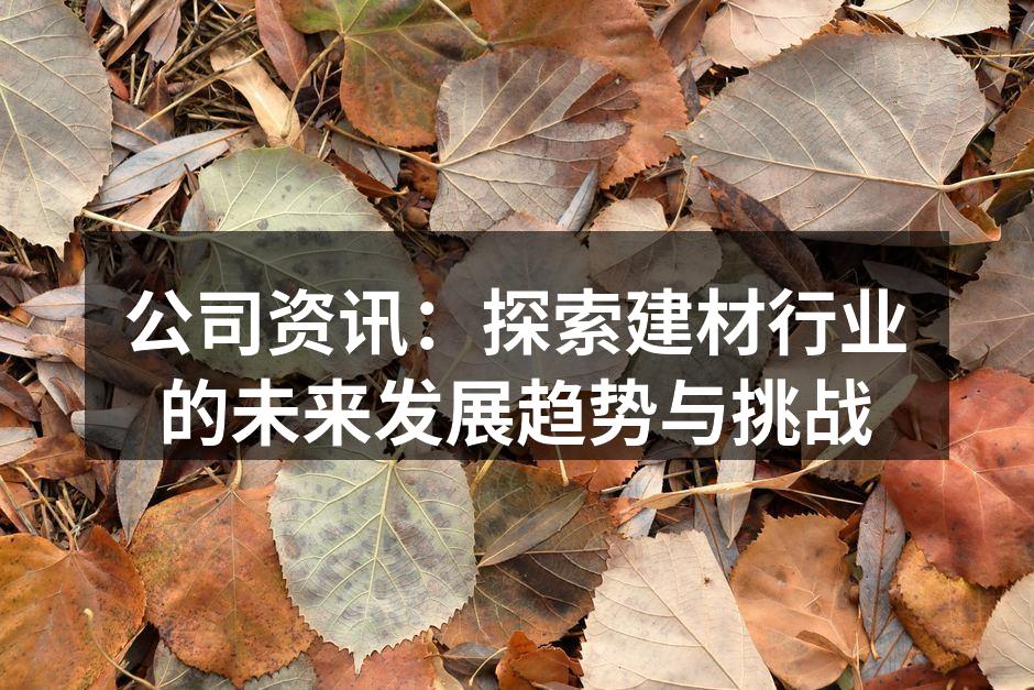 公司资讯：探索建材行业的未来发展趋势与挑战